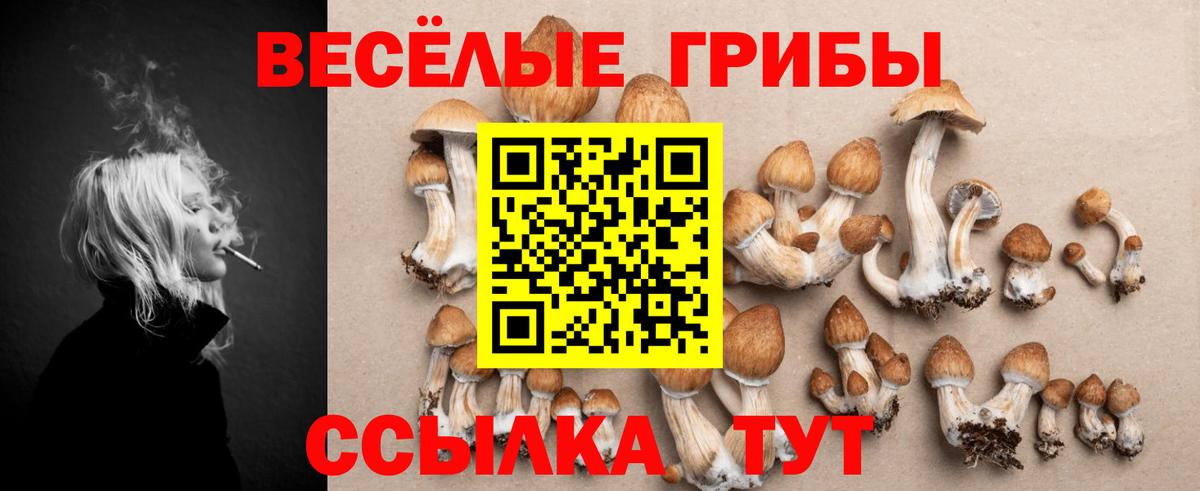 Псилоцибиновые грибы мухоморы  Вход с VPN  Чайковский  Галлюциногенные грибы GOLDEN TEACHER 