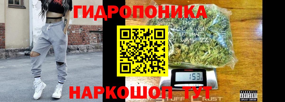 Чайковский  Марихуана план  Канабис сатива  Вход с VPN  МАРИХУАНА конопля 